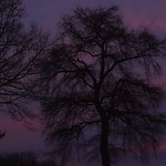 Wish you all a happy weekend