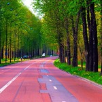 Nature in spring, (Bois de Vincennes, Paris)