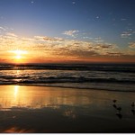 When one is too lonely.....