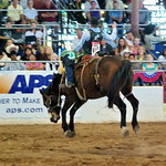 it's just a hop skip & jump - The Hop - Parada del Sol Rodeo -Scottsdale