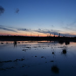 Industrial Landscape