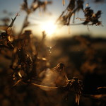 mountain overlook Denver
