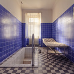 189 / 365 Bathing Time