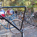 French Fender Day 2013