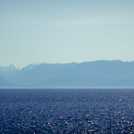 flying the spinnaker