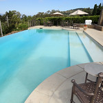 Signorello Estate Winery, Napa Valley, California, USA