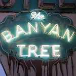the BANYAN TREE Motel St. Petersburg