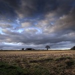 Another miserable day..........