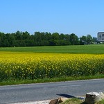 US 42nd Division Memorial