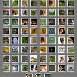 My interestingness thingy