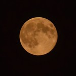strawberry Moon