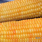 Corns