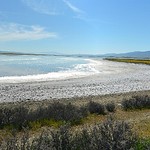 Soda Lake shoreline pano