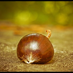 praise the lord, i saw the light !