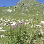 Sommand, col de la Ramaz, pointe de Chalune