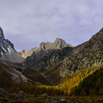 M&eacute;l&egrave;zes orange