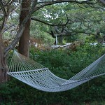 hammock
