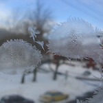 Jack Frost's footprints