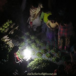 2010-03-20 Kathmandu 278