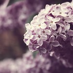 i know you were on my side even when i was wrong (explore)