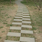 A Checkered Path at Chaoyang Park