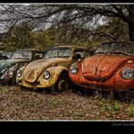 Do you know what really bugs me?