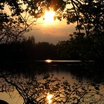 Romance with the sun