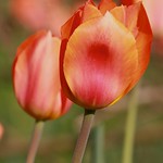 Six Months? Already?