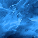 100127 pb 100129 &copy; Th&eacute;thi ( 7 pics )