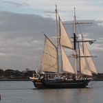 Young Endeavour