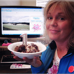 1 Year Flickrversary