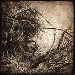 gumoil alternative process