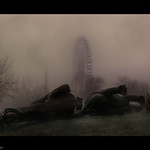 Last Cry of Pachydermatous