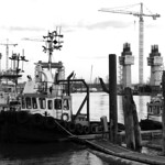 Sea Imps At The Golden Ears Bridge
