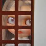 HALLEY behind the window