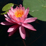 kayaking july 2010 039