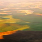 Rolling hills of Palouse II