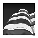 Arc Series Study in Shape 17 St PG BW-3