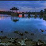 "The art of being wise is the art of knowing what to overlook."