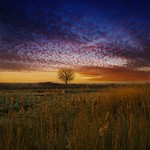 Dawn over the marshes