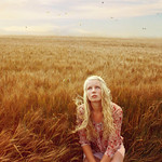 And So it is, Just Like You Said it Would Be, (Explored)