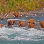 The gauntlet_MG_1882