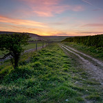 One day I`ll follow the sun.