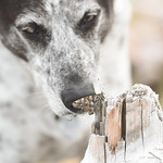 19:52 Dear Butterfly