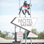 Motel Safari