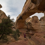 Standing Under Hickman Bridge