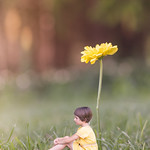 24/52 tiny | min&uacute;sculo