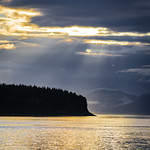 Rays of Gold Closeup