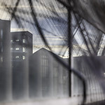 29th Week - Distorted view