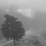 morning on the quay II